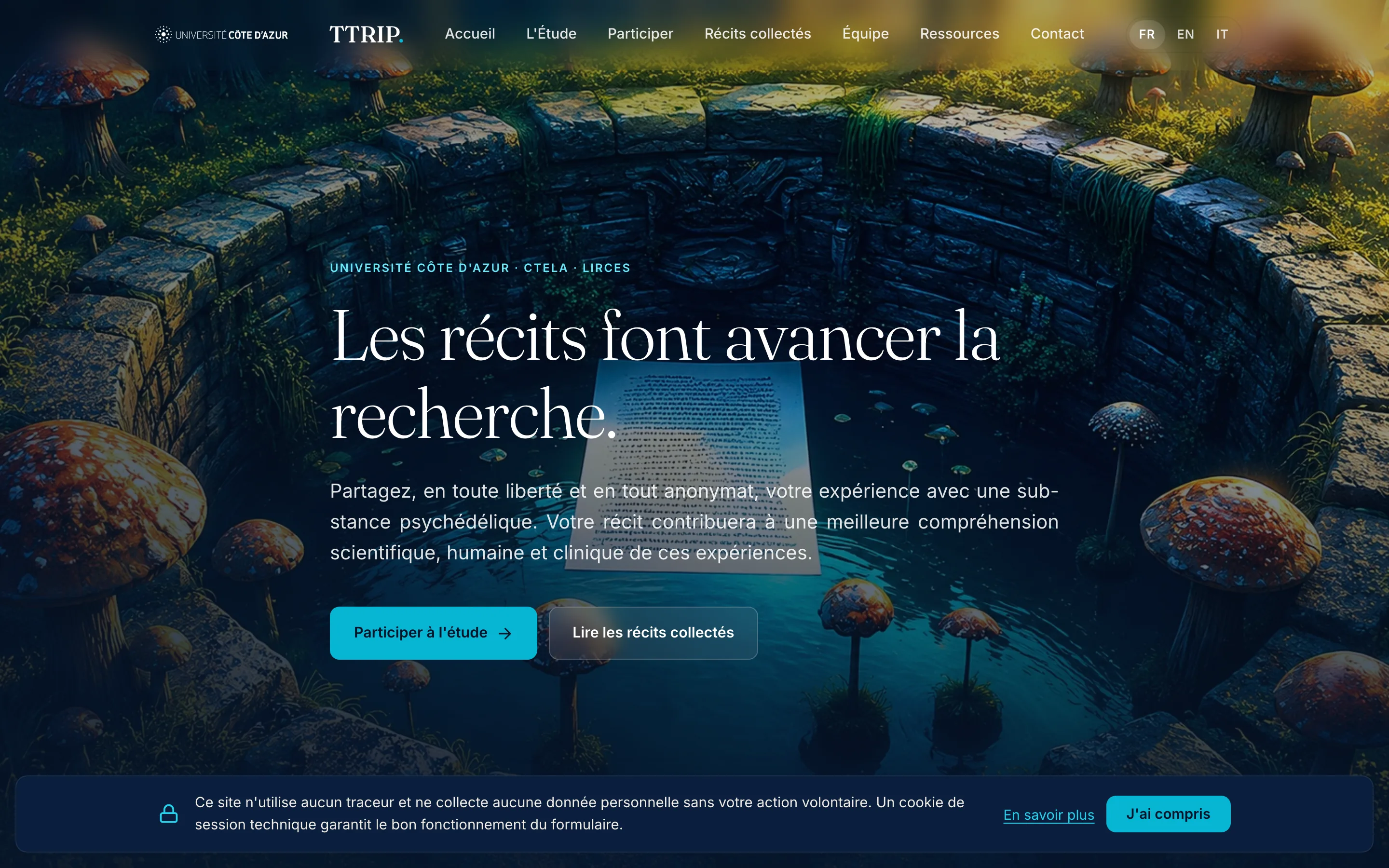 La page d’accueil du site TTRIP