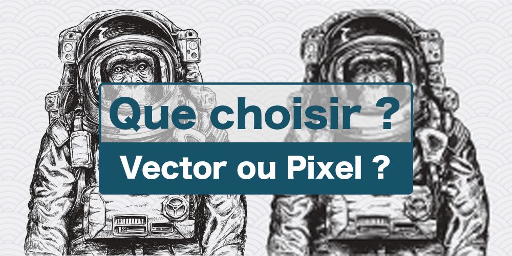 Vector ou pixel, que choisir?