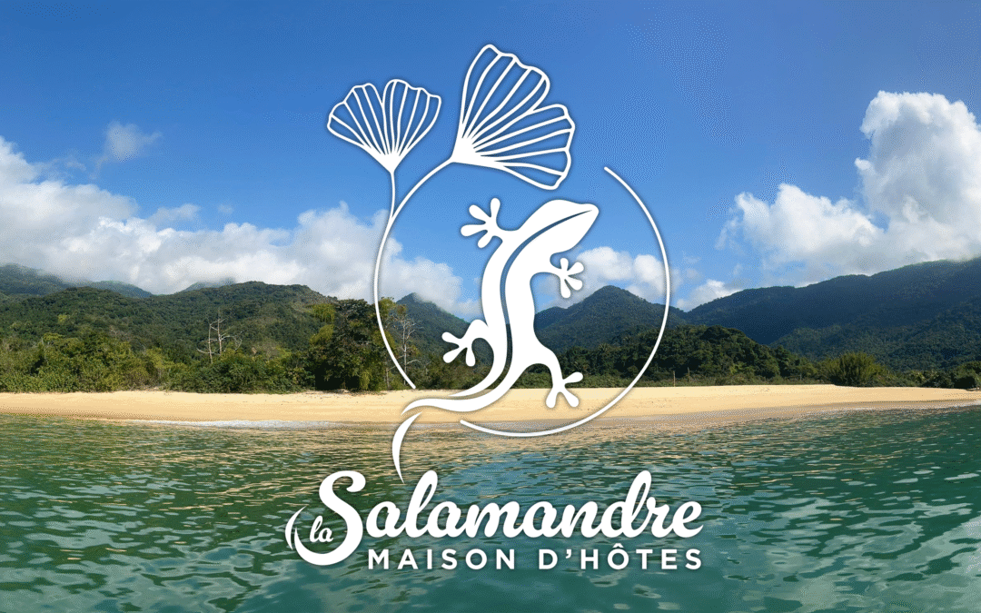 La salamandre – Paraty (Brésil)